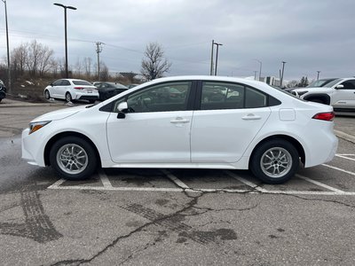 Toyota Corolla Hybrid  2026 à Bolton, Ontario