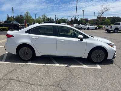 2026 Toyota Corolla Hybrid in Bolton, Ontario