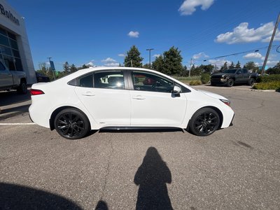 2026 Toyota Corolla Hybrid in Bolton, Ontario