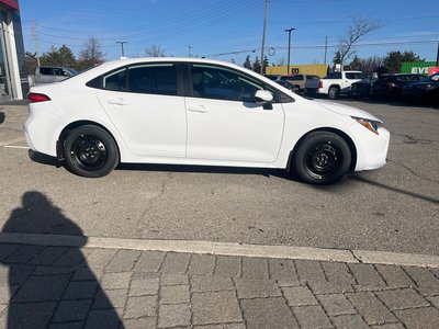 2026 Toyota Corolla in Bolton, Ontario