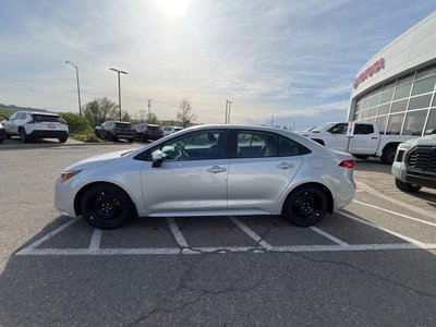 2026 Toyota Corolla in Bolton, Ontario