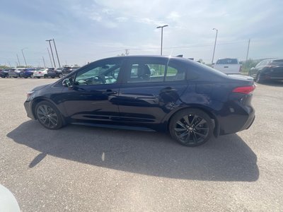 2026 Toyota Corolla in Bolton, Ontario