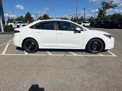 2026 Toyota Corolla in Bolton, Ontario