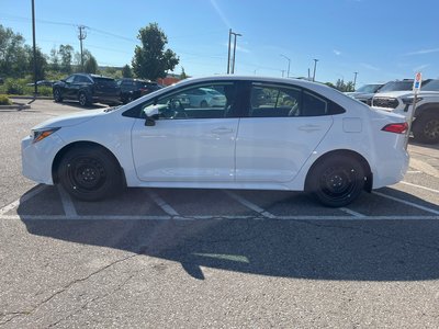 2026 Toyota Corolla in Bolton, Ontario