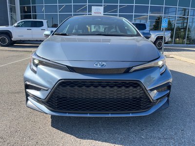 2026 Toyota Corolla in Bolton, Ontario