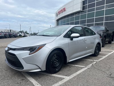 2026 Toyota Corolla in Bolton, Ontario