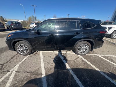 2026 Toyota Highlander in Bolton, Ontario