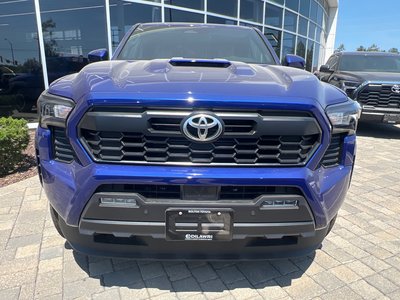 2025 Toyota Tacoma in Bolton, Ontario