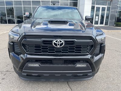 2025 Toyota Tacoma in Bolton, Ontario