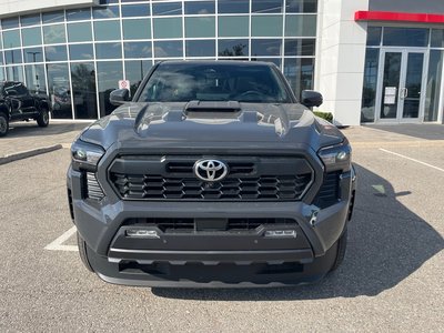 2025 Toyota Tacoma in Bolton, Ontario