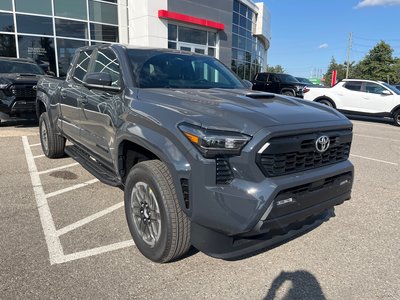 2025 Toyota Tacoma in Bolton, Ontario