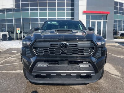 2026 Toyota Tacoma in Bolton, Ontario
