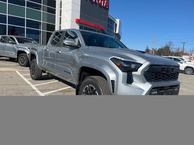 2026 Toyota Tacoma in Bolton, Ontario