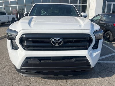 2026 Toyota Tacoma in Bolton, Ontario