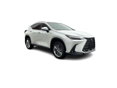 2024 Lexus NX in Mississauga, Ontario
