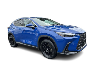 2022 Lexus NX in Langley, British Columbia