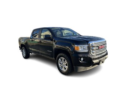 2019  Canyon in North Vancouver, British Columbia