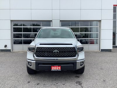 TUNDRA