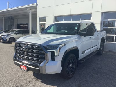 TUNDRA