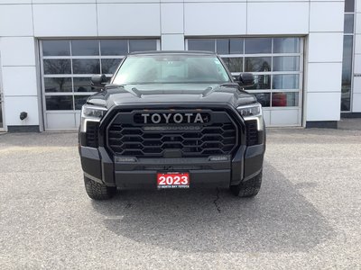 TUNDRA
