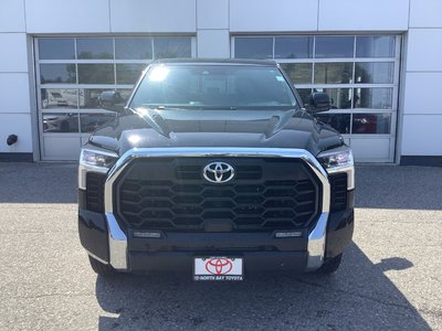 TUNDRA