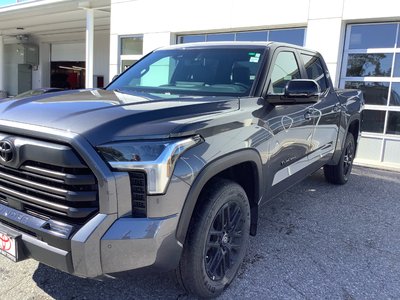 TUNDRA