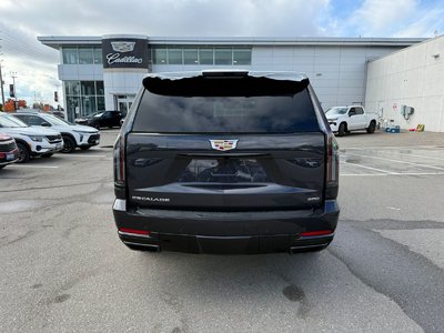 Cadillac ESCALADE  2026 à Brampton, Ontario