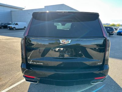 2023 Cadillac Escalade in Brampton, Ontario