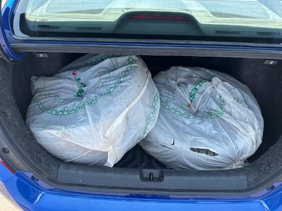2019 Honda Civic in Brampton, Ontario