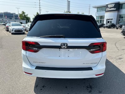 2023 Honda Odyssey in Brampton, Ontario