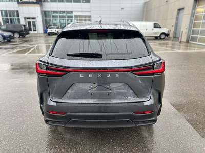 2022 Lexus NX HYBRID in Brampton, Ontario