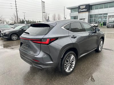 2022 Lexus NX HYBRID in Brampton, Ontario