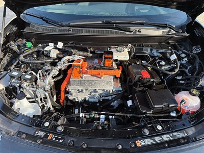 Photo Image