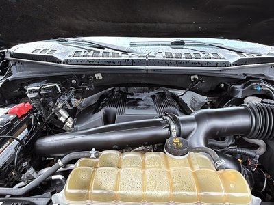 Photo Image