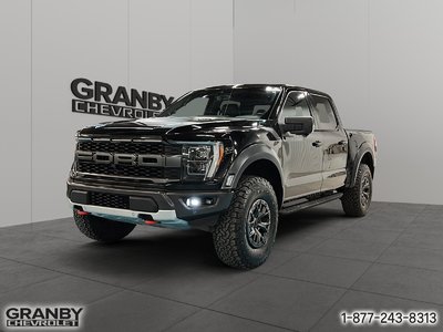 Ford F-150 Raptor 2021 le centre de l usage en estrie