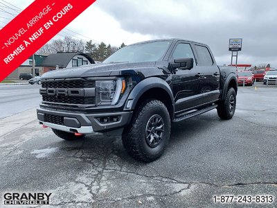 2021 Ford F-150 Raptor