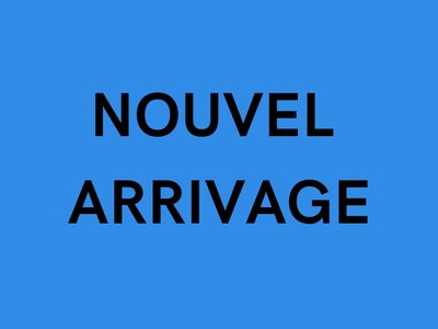 2024 Toyota RAV4 LE AWD | 8 PNEUS-8 ROUES | GPS | SIÈGES CHAUFFANTS