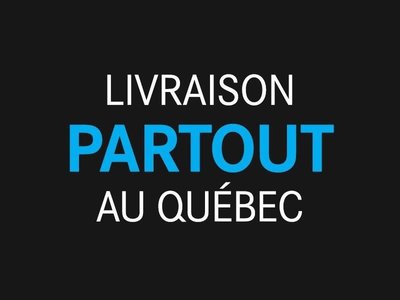2019 Toyota RAV4 in Saint-Leonard, Quebec