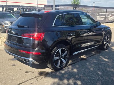 2024 Audi Q5 in Calgary, Alberta