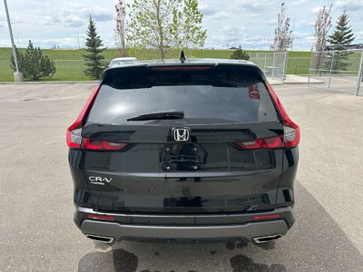 2024 Honda CR-V Hybrid in Calgary, Alberta