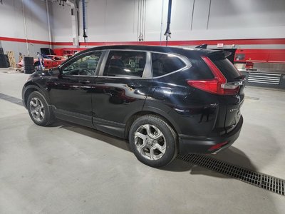2019 Honda CR-V in Calgary, Alberta