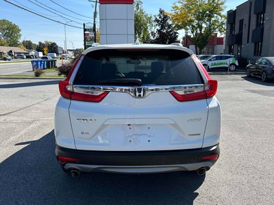 2019 Honda CR-V in Calgary, Alberta