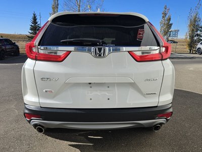 2019 Honda CR-V in Calgary, Alberta
