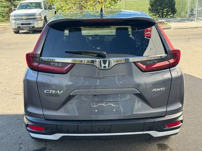 2020 Honda CR-V in Calgary, Alberta