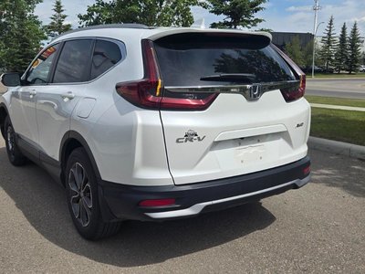 2021 Honda CR-V in Calgary, Alberta