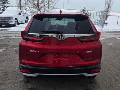 2021 Honda CR-V in Calgary, Alberta