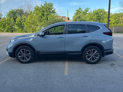 2022 Honda CR-V in Calgary, Alberta