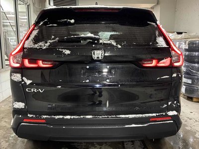 2023 Honda CR-V in Calgary, Alberta