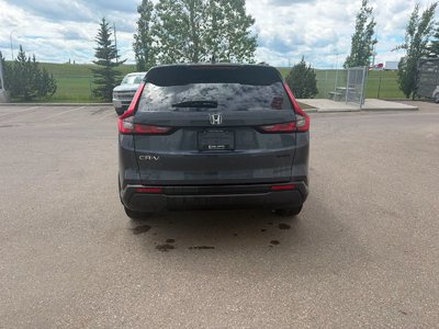 2023 Honda CR-V in Calgary, Alberta