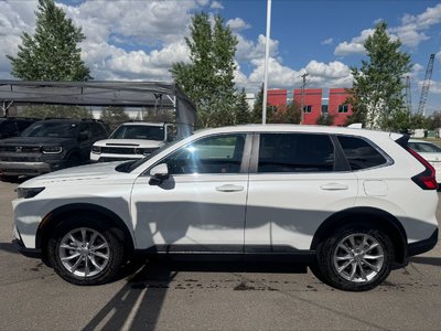 2024 Honda CR-V in Calgary, Alberta